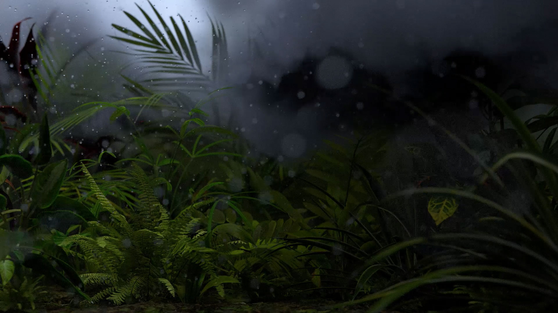 artificial-life-jungle-rain